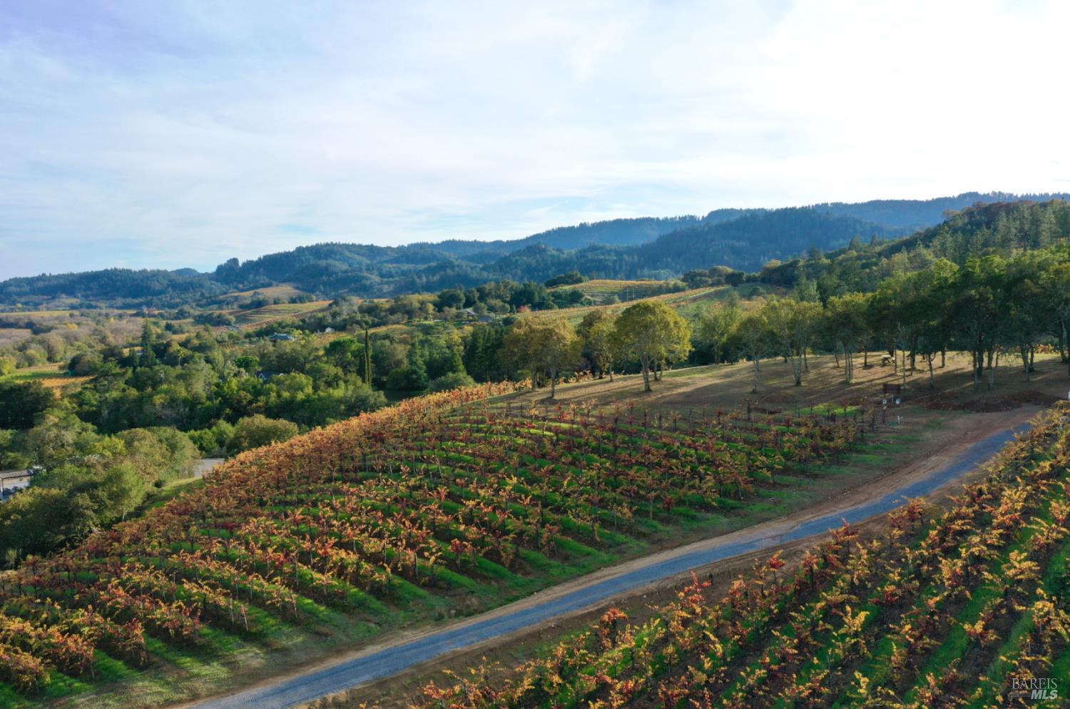 Detail Gallery Image 5 of 99 For 6225 W Dry Creek Rd, Healdsburg,  CA 95448 - – Beds | – Baths