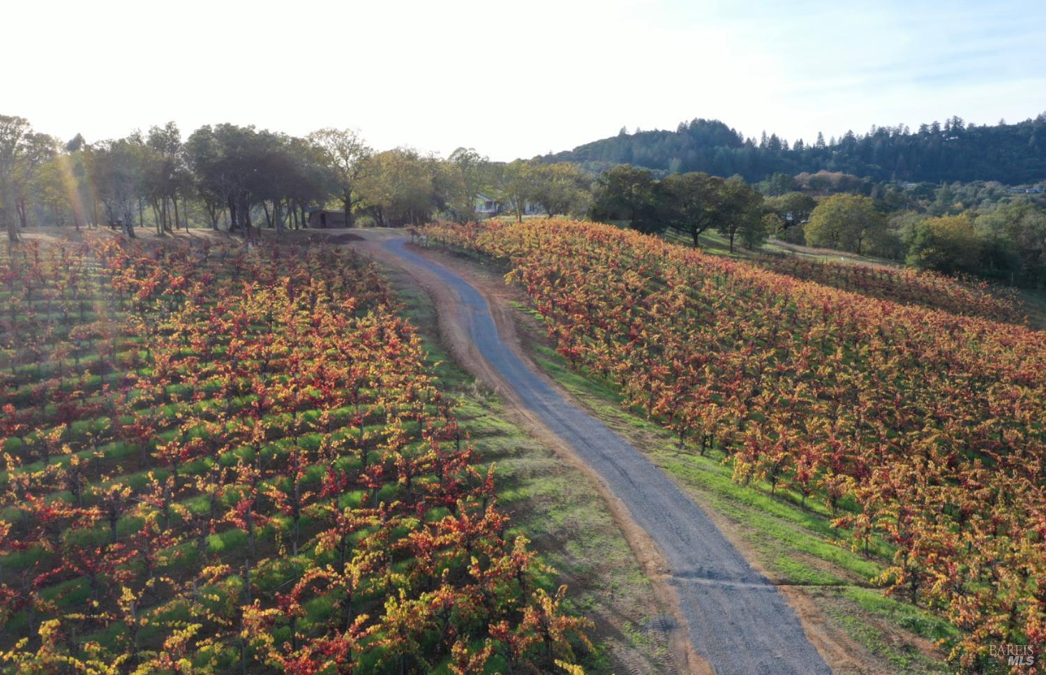 Detail Gallery Image 58 of 99 For 6225 W Dry Creek Rd, Healdsburg,  CA 95448 - – Beds | – Baths