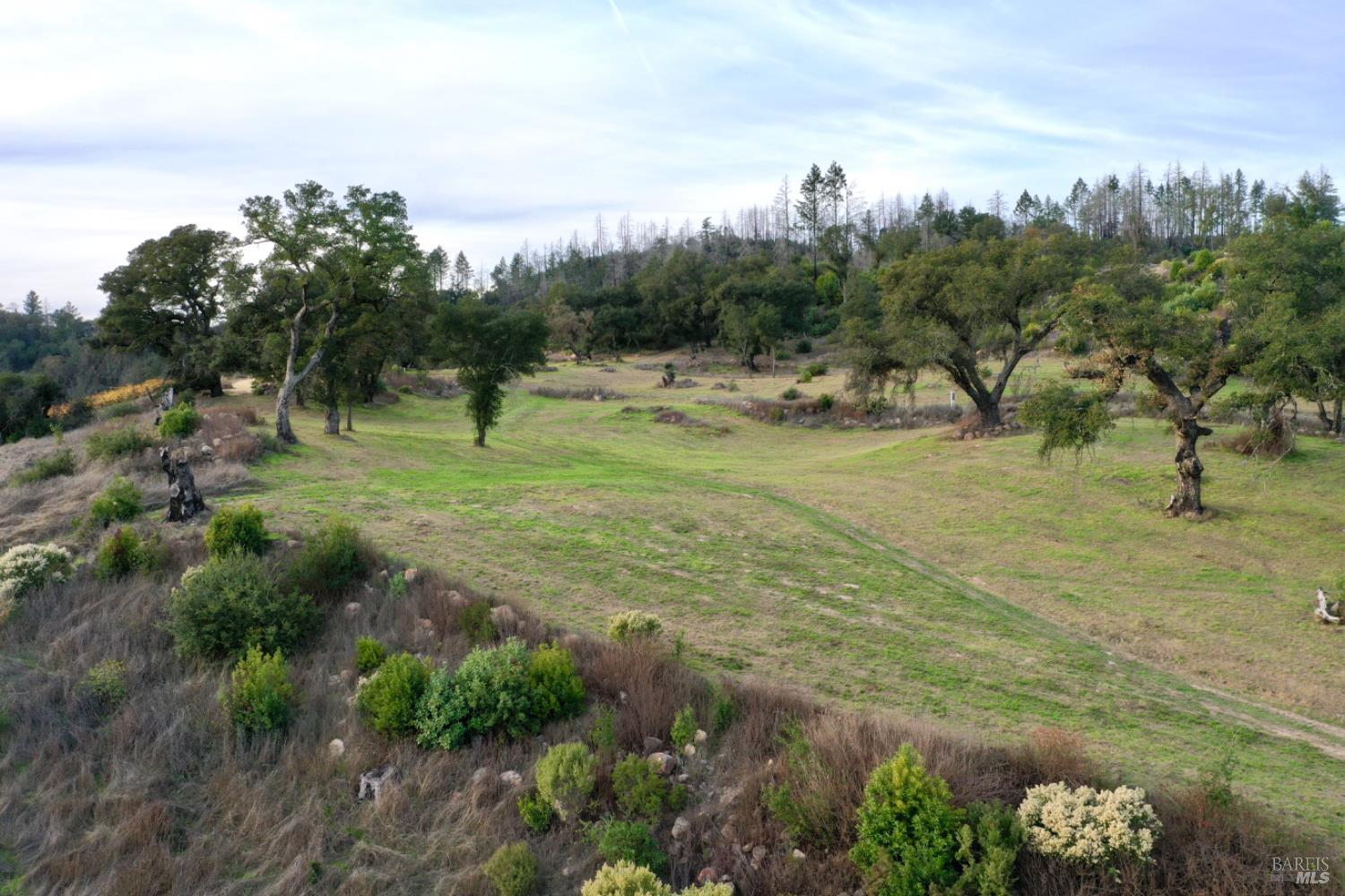 Detail Gallery Image 50 of 76 For 500 Artisan Cir, Geyserville,  CA 95441 - – Beds | – Baths