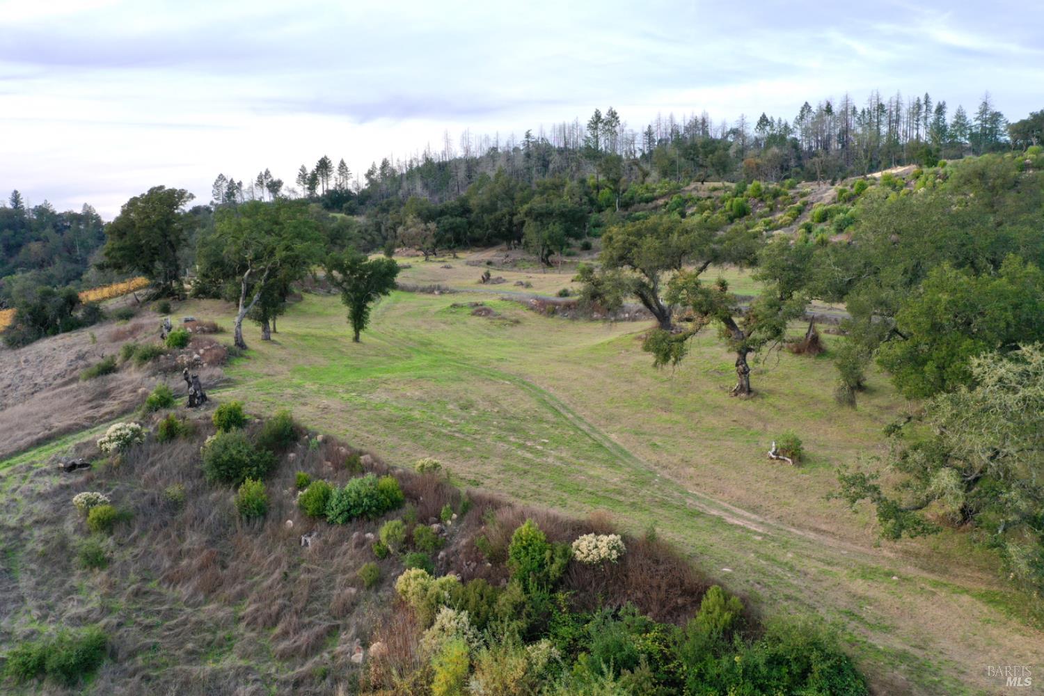 Detail Gallery Image 69 of 76 For 500 Artisan Cir, Geyserville,  CA 95441 - – Beds | – Baths