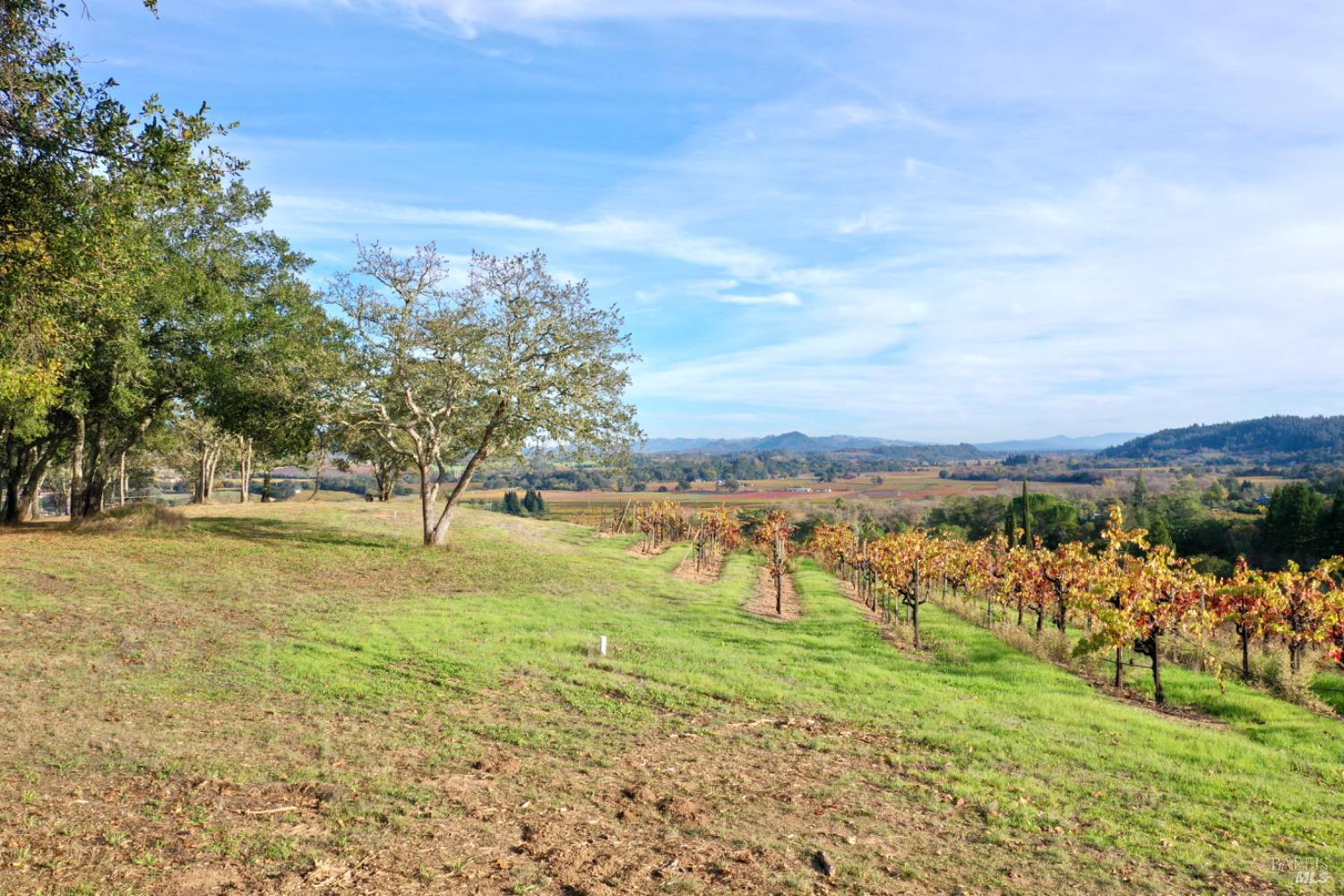 Detail Gallery Image 95 of 99 For 6225 W Dry Creek Rd, Healdsburg,  CA 95448 - – Beds | – Baths