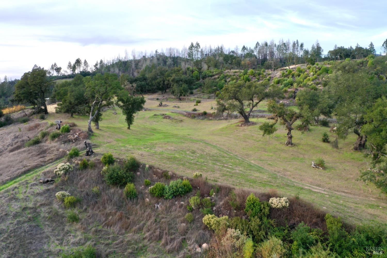 Detail Gallery Image 30 of 76 For 500 Artisan Cir, Geyserville,  CA 95441 - – Beds | – Baths