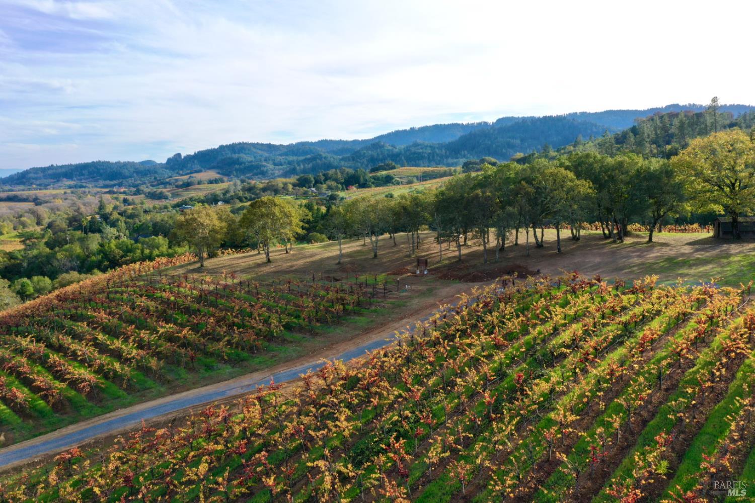 Detail Gallery Image 10 of 99 For 6225 W Dry Creek Rd, Healdsburg,  CA 95448 - – Beds | – Baths