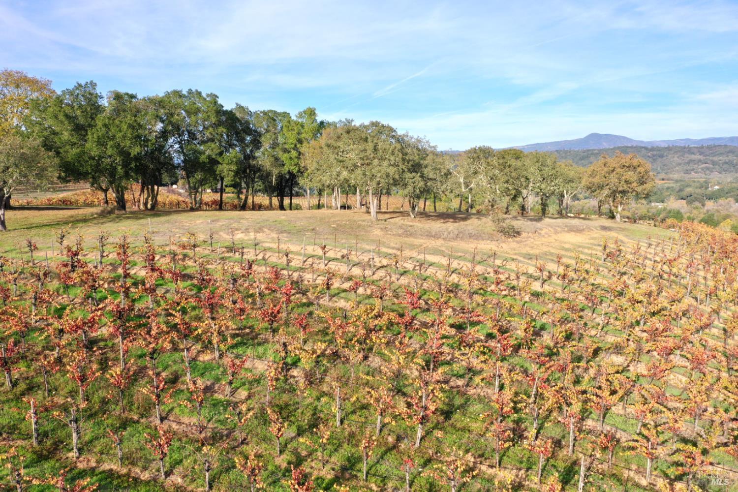 Detail Gallery Image 86 of 99 For 6225 W Dry Creek Rd, Healdsburg,  CA 95448 - – Beds | – Baths