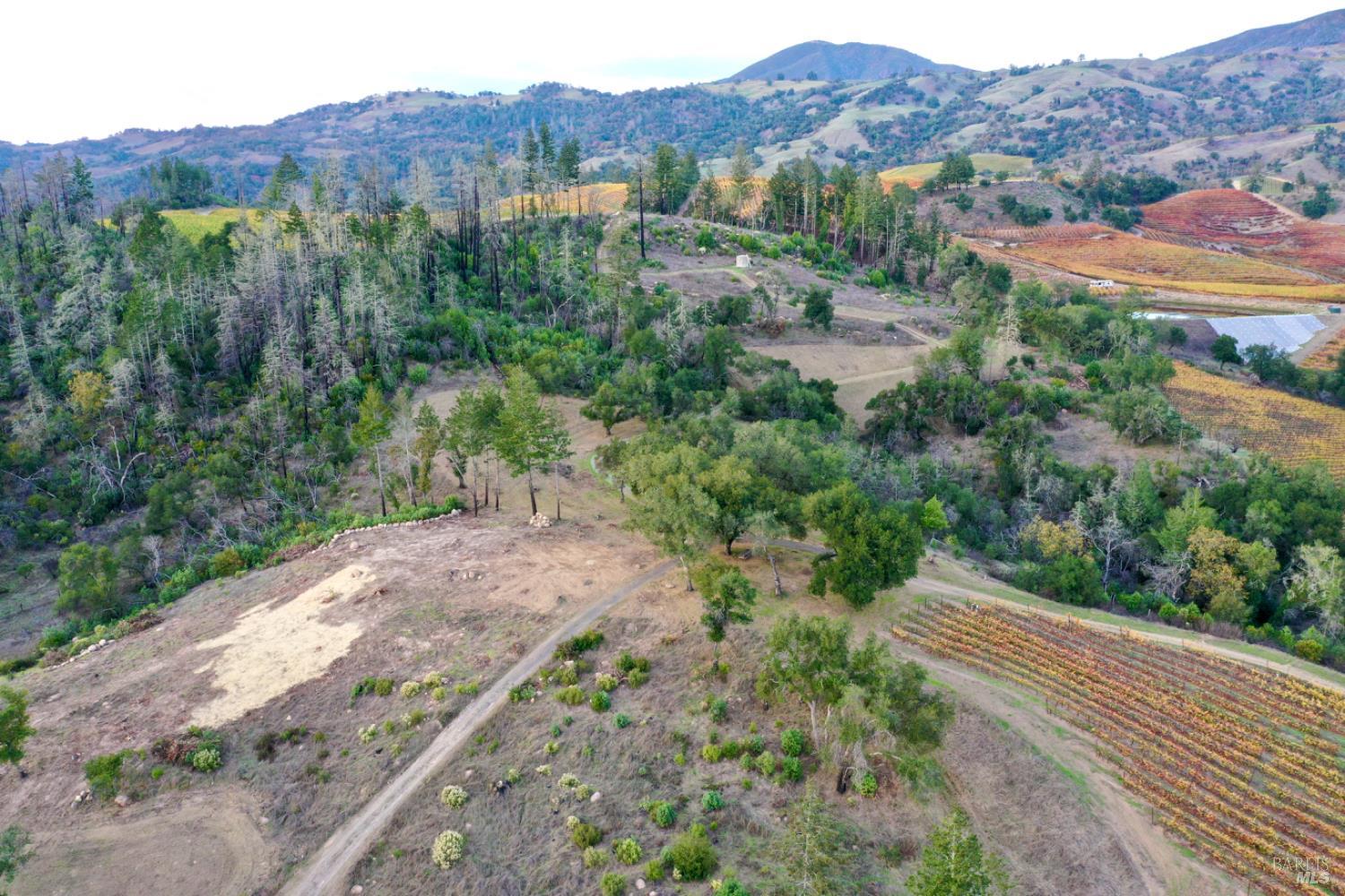 Detail Gallery Image 24 of 80 For 551 Artisan Cir, Geyserville,  CA 95441 - – Beds | – Baths