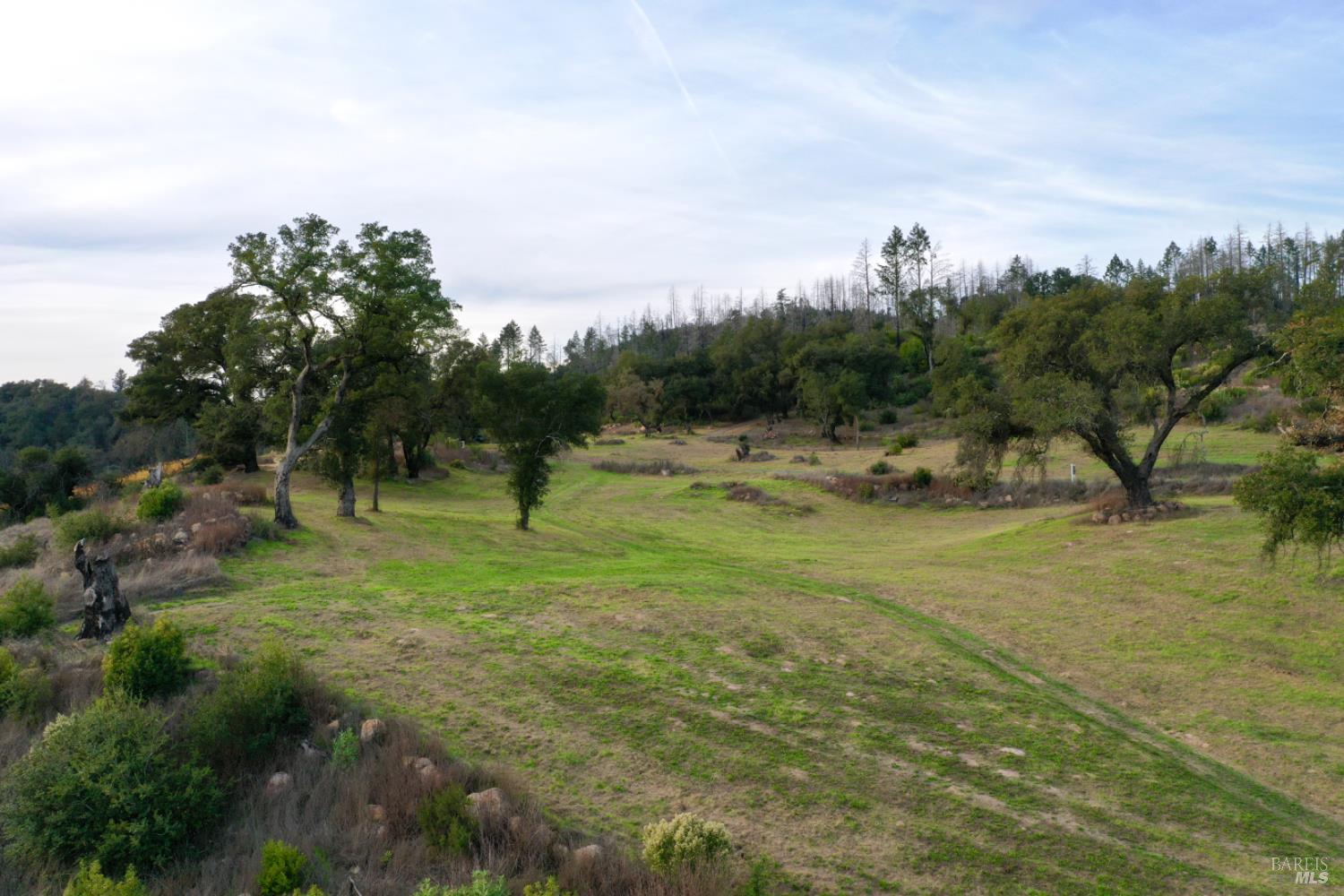 Detail Gallery Image 49 of 76 For 500 Artisan Cir, Geyserville,  CA 95441 - – Beds | – Baths