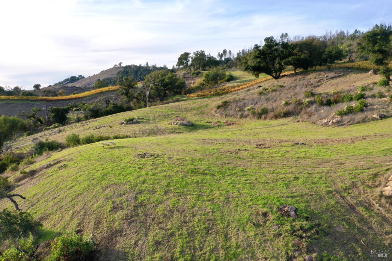 Detail Gallery Image 16 of 65 For 594 Artisan Cir, Geyserville,  CA 95441 - – Beds | – Baths