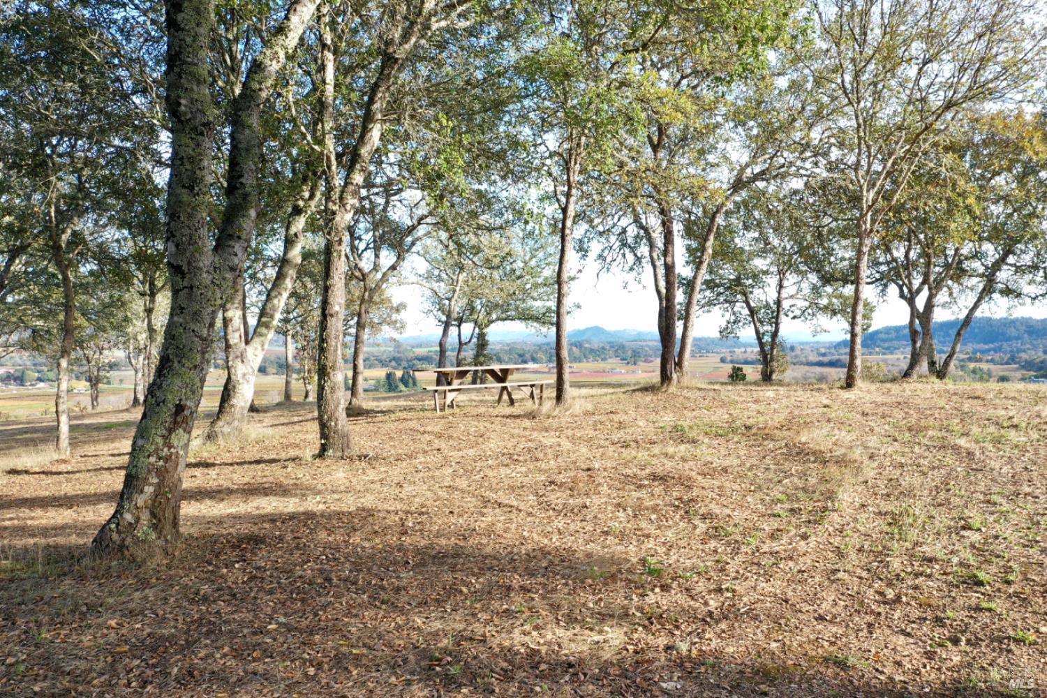 Detail Gallery Image 18 of 99 For 6225 W Dry Creek Rd, Healdsburg,  CA 95448 - – Beds | – Baths