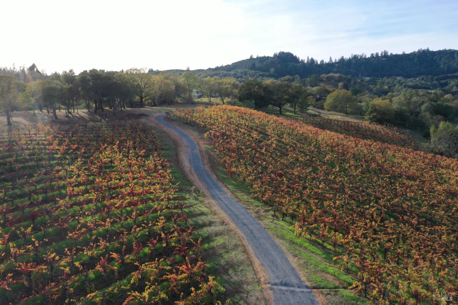 Detail Gallery Image 57 of 99 For 6225 W Dry Creek Rd, Healdsburg,  CA 95448 - – Beds | – Baths