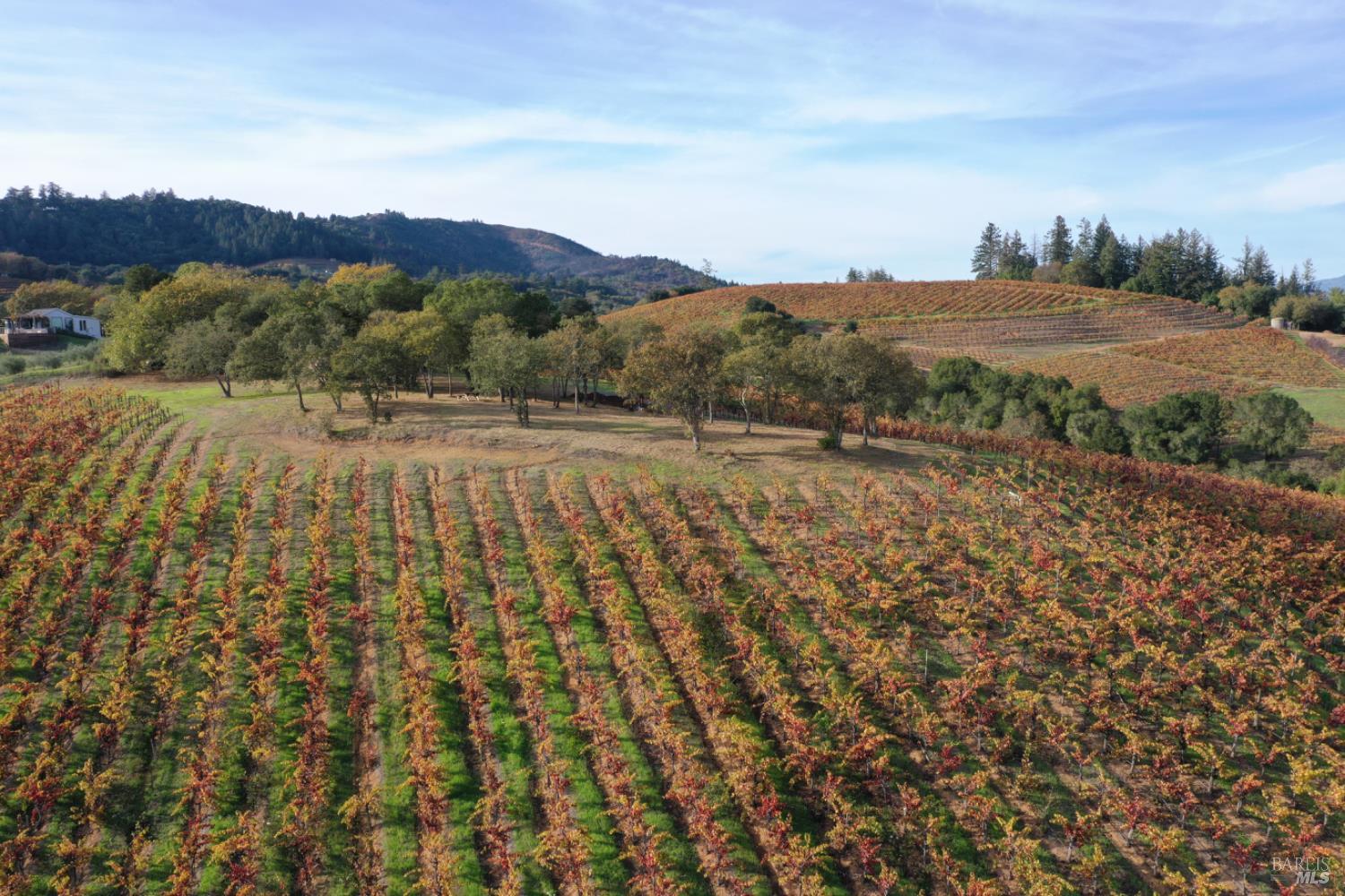 Detail Gallery Image 61 of 99 For 6225 W Dry Creek Rd, Healdsburg,  CA 95448 - – Beds | – Baths