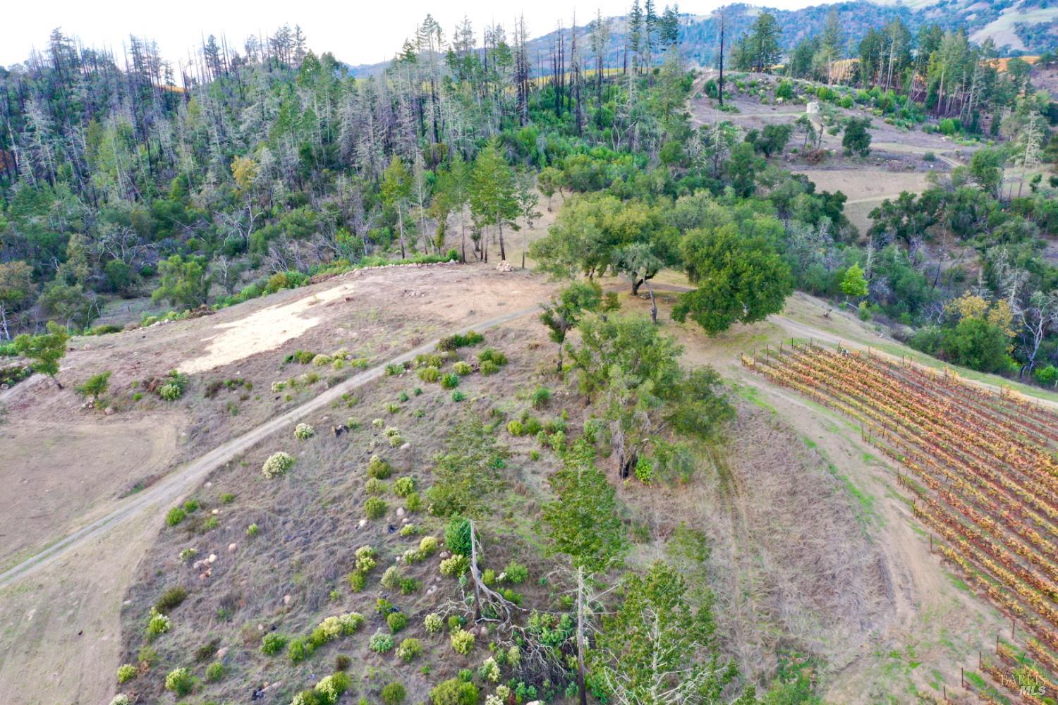 Detail Gallery Image 51 of 80 For 551 Artisan Cir, Geyserville,  CA 95441 - – Beds | – Baths