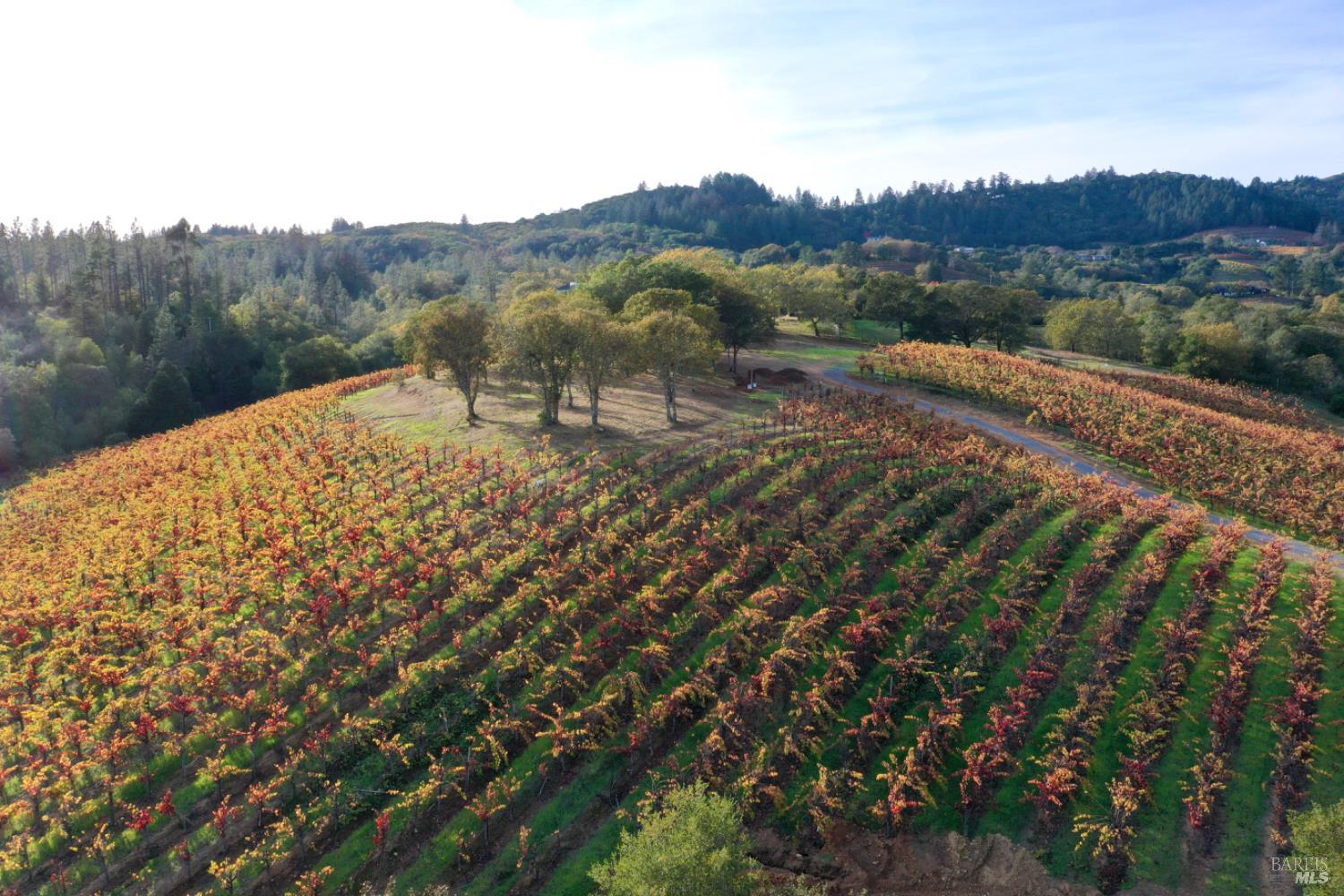 Detail Gallery Image 2 of 99 For 6225 W Dry Creek Rd, Healdsburg,  CA 95448 - – Beds | – Baths