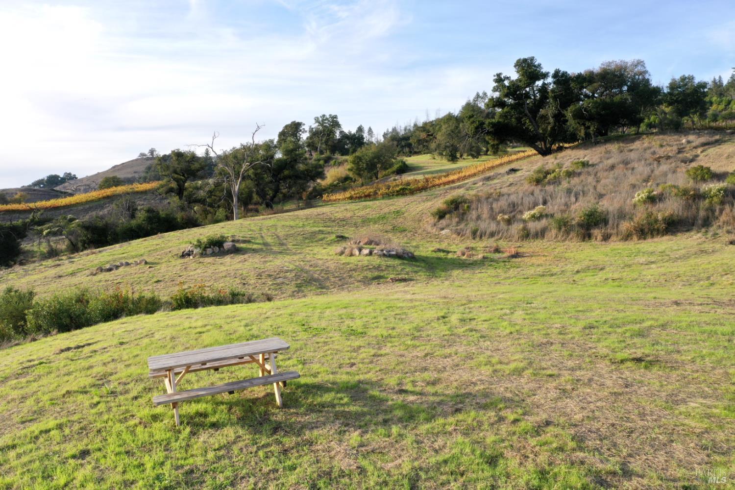 Detail Gallery Image 15 of 65 For 594 Artisan Cir, Geyserville,  CA 95441 - – Beds | – Baths