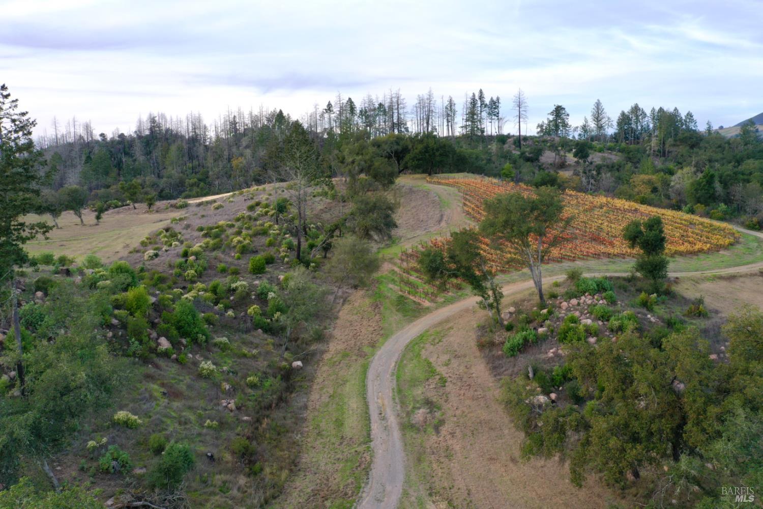 Detail Gallery Image 28 of 80 For 551 Artisan Cir, Geyserville,  CA 95441 - – Beds | – Baths