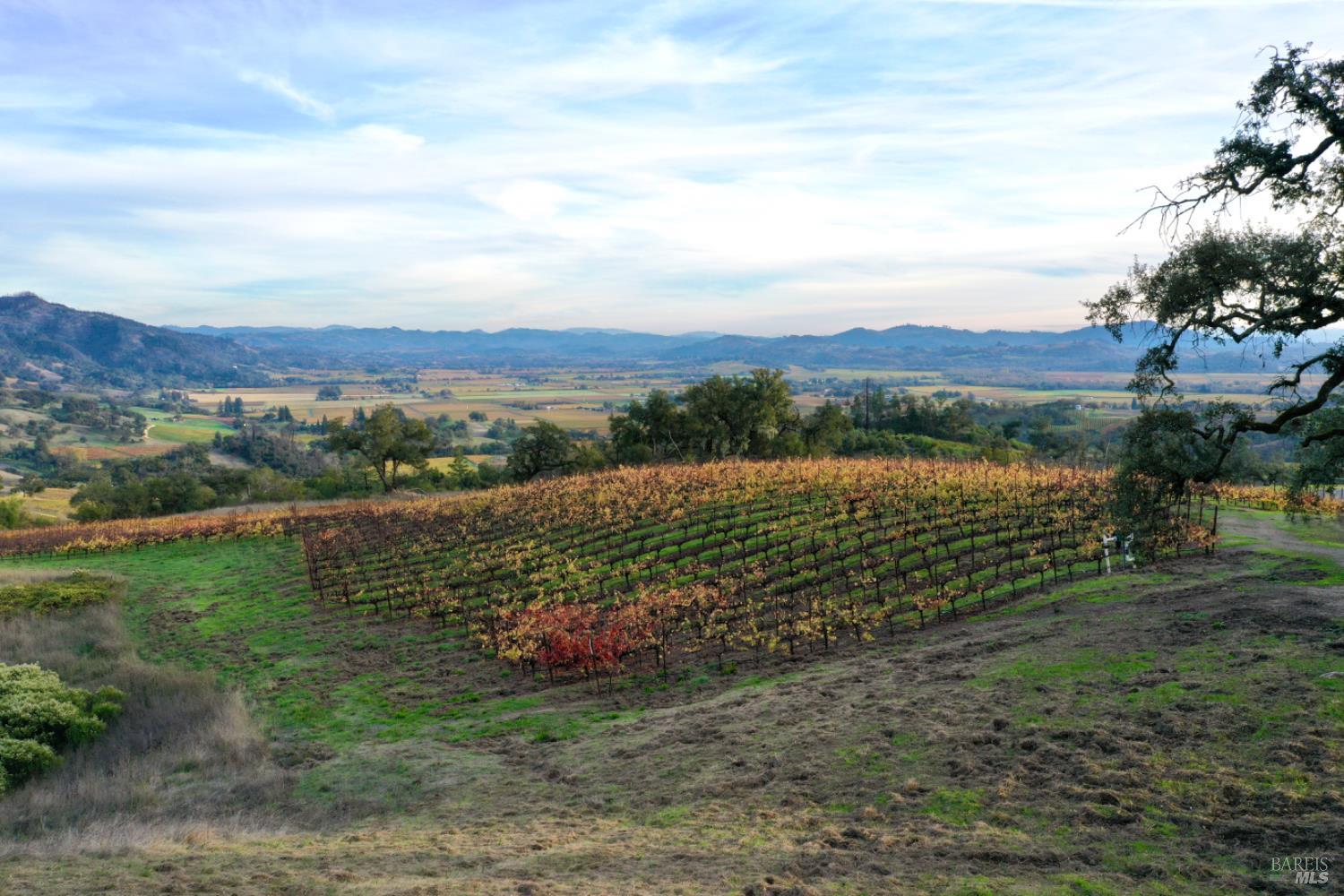 Detail Gallery Image 20 of 69 For 577 Artisan Cir, Geyserville,  CA 95441 - – Beds | – Baths