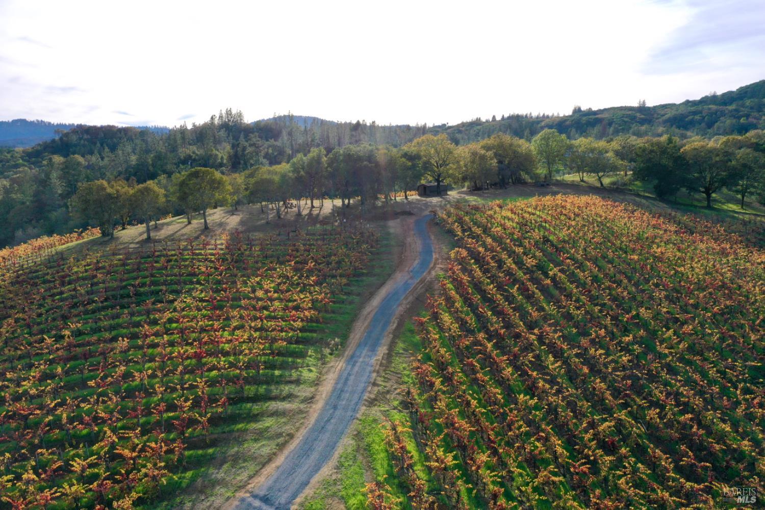 Detail Gallery Image 56 of 99 For 6225 W Dry Creek Rd, Healdsburg,  CA 95448 - – Beds | – Baths