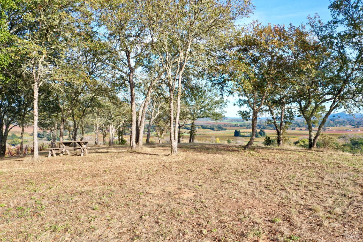 Detail Gallery Image 67 of 99 For 6225 W Dry Creek Rd, Healdsburg,  CA 95448 - – Beds | – Baths