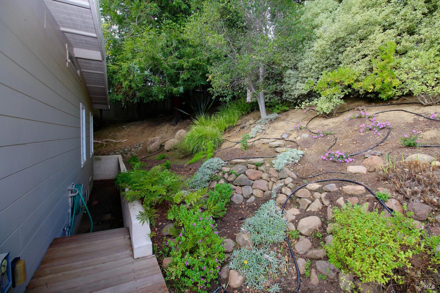 Detail Gallery Image 28 of 29 For Address Is Not Disclosed, Mill Valley,  CA 94941 - 3 Beds | 2/1 Baths