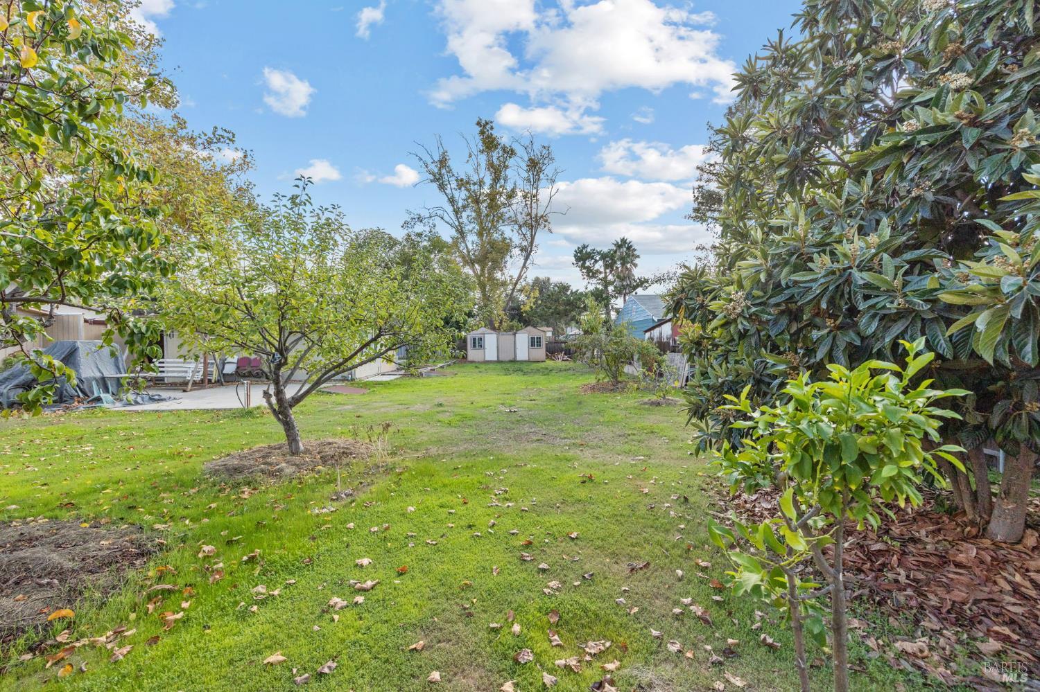 Detail Gallery Image 54 of 58 For 1455 Grove Way, Concord,  CA 94518 - 3 Beds | 2 Baths