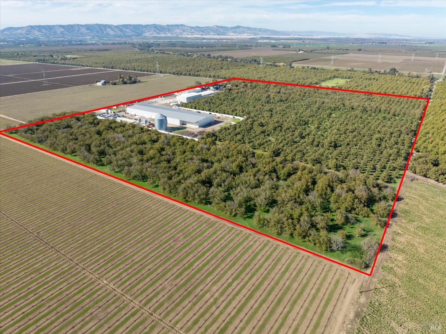 Detail Gallery Image 93 of 99 For 5430 Putah Creek Rd, Winters,  CA 95694 - – Beds | – Baths