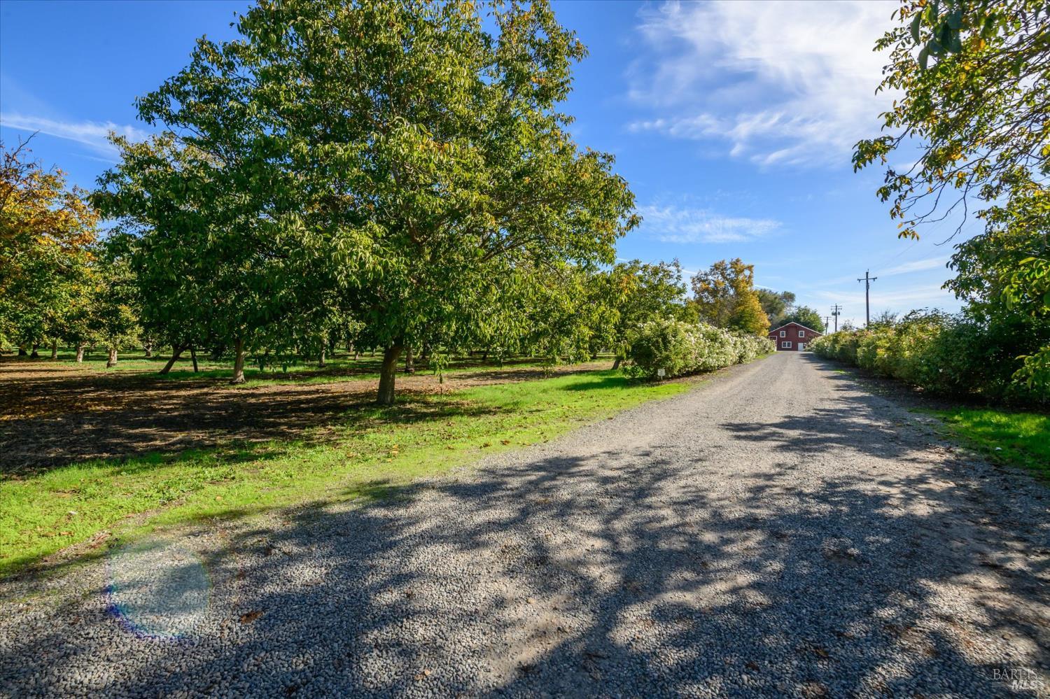 Detail Gallery Image 92 of 99 For 5430 Putah Creek Rd, Winters,  CA 95694 - – Beds | – Baths