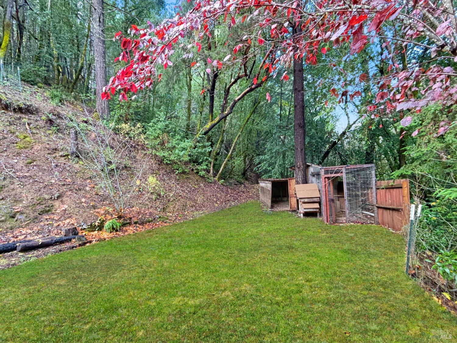 Detail Gallery Image 12 of 16 For 5011 Canyon Rd, Willits,  CA 95490 - 3 Beds | 1 Baths