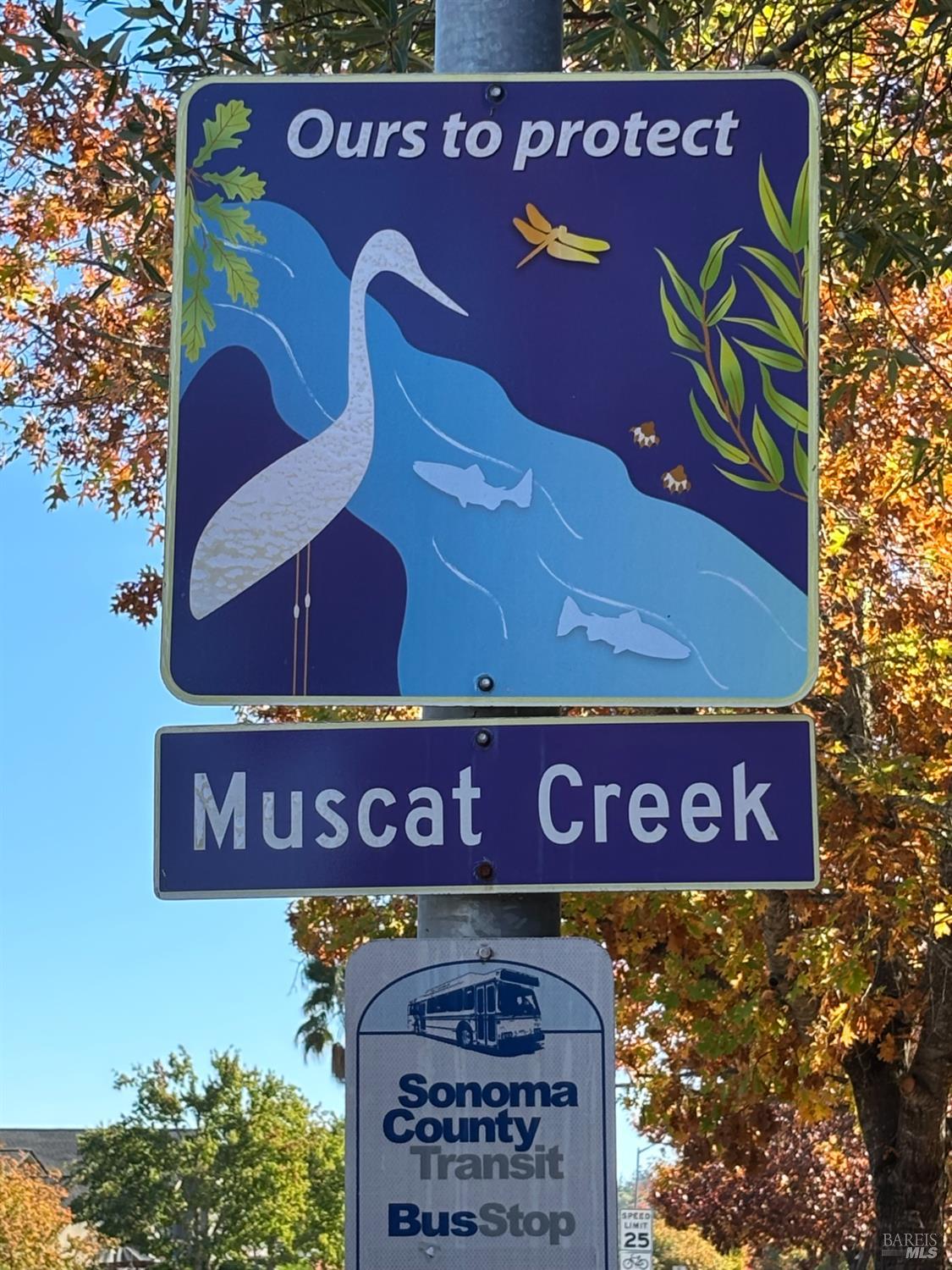 Detail Gallery Image 42 of 47 For 105 Elbridge Ave #E,  Cloverdale,  CA 95425 - 2 Beds | 1/1 Baths