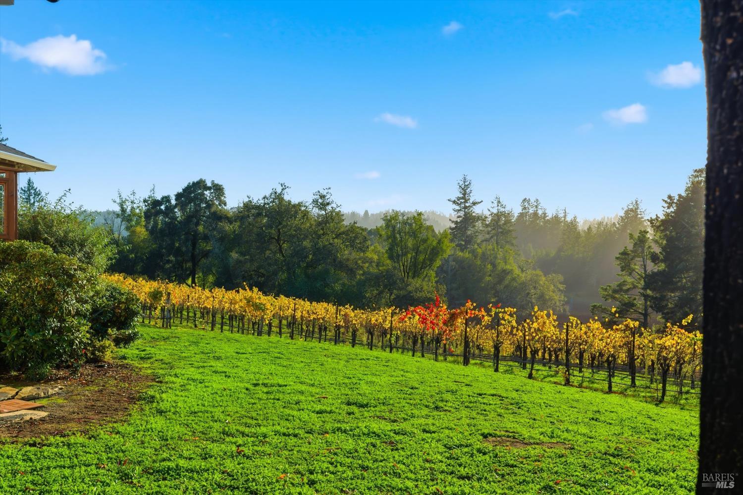 Detail Gallery Image 10 of 53 For 4630 Maddocks Rd, Sebastopol,  CA 95472 - 3 Beds | 3 Baths