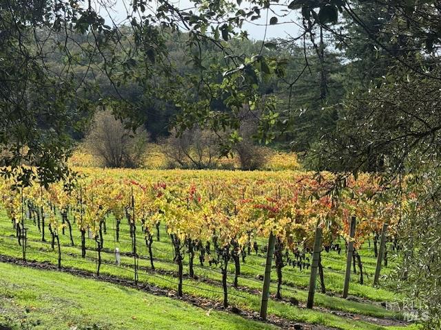 Detail Gallery Image 52 of 54 For 2759 Bennett Ridge Rd, Santa Rosa,  CA 95404 - 3 Beds | 3 Baths