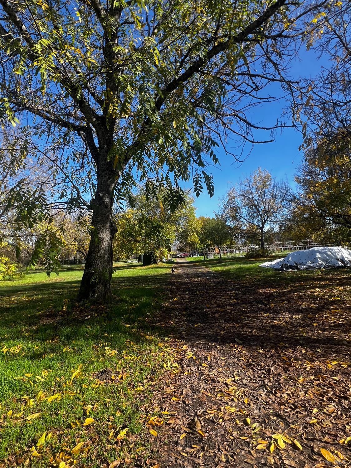 Detail Gallery Image 14 of 36 For 23005 Covelo Refuse Rd, Covelo,  CA 95428 - 1 Beds | 1 Baths