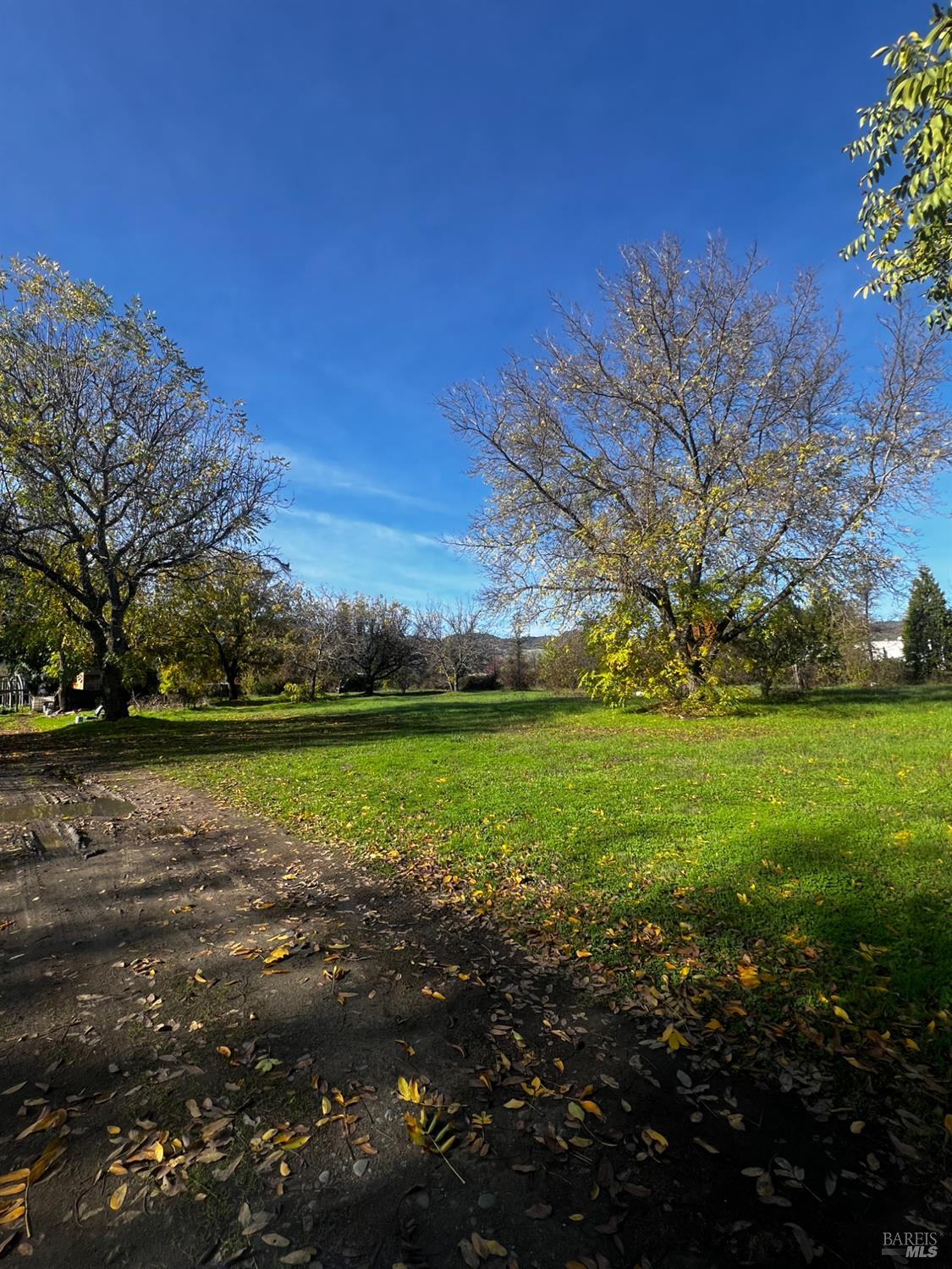 Detail Gallery Image 5 of 36 For 23005 Covelo Refuse Rd, Covelo,  CA 95428 - 1 Beds | 1 Baths