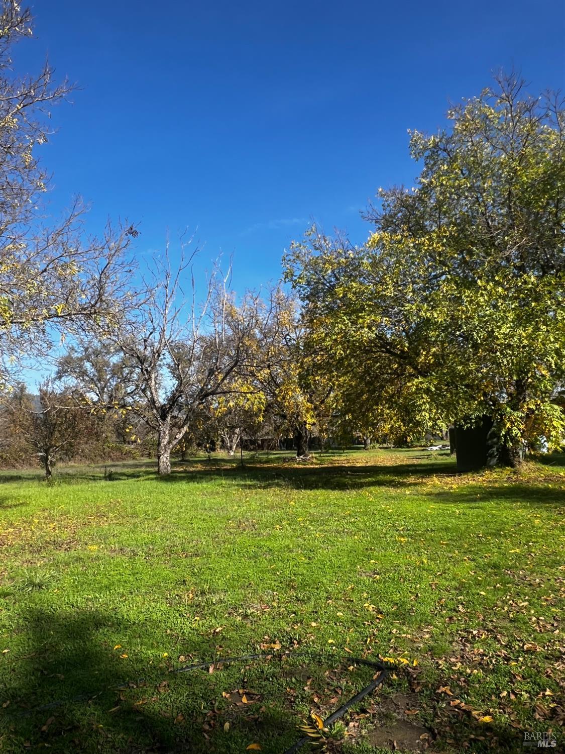 Detail Gallery Image 12 of 36 For 23005 Covelo Refuse Rd, Covelo,  CA 95428 - 1 Beds | 1 Baths