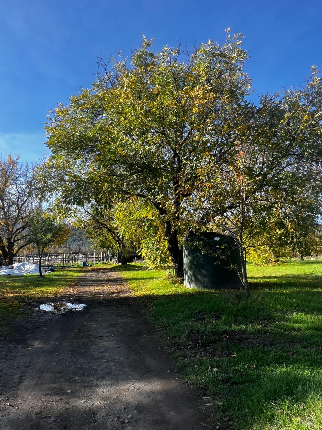 Detail Gallery Image 13 of 36 For 23005 Covelo Refuse Rd, Covelo,  CA 95428 - 1 Beds | 1 Baths