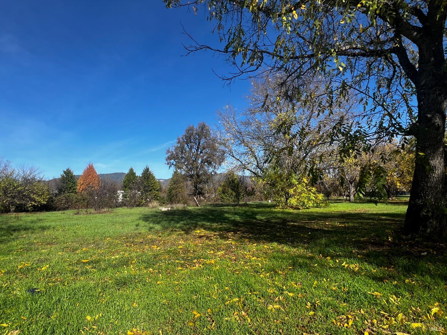 Detail Gallery Image 8 of 36 For 23005 Covelo Refuse Rd, Covelo,  CA 95428 - 1 Beds | 1 Baths