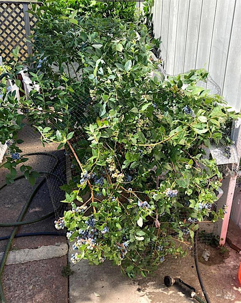 Detail Gallery Image 19 of 24 For 6781 Evergreen Ave, Sebastopol,  CA 95472 - 2 Beds | 2 Baths