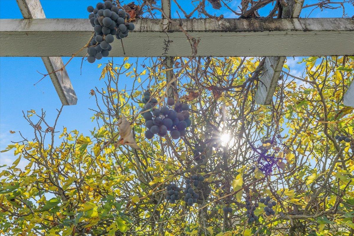 Detail Gallery Image 24 of 46 For 130 11th St, Santa Rosa,  CA 95401 - 4 Beds | 2 Baths