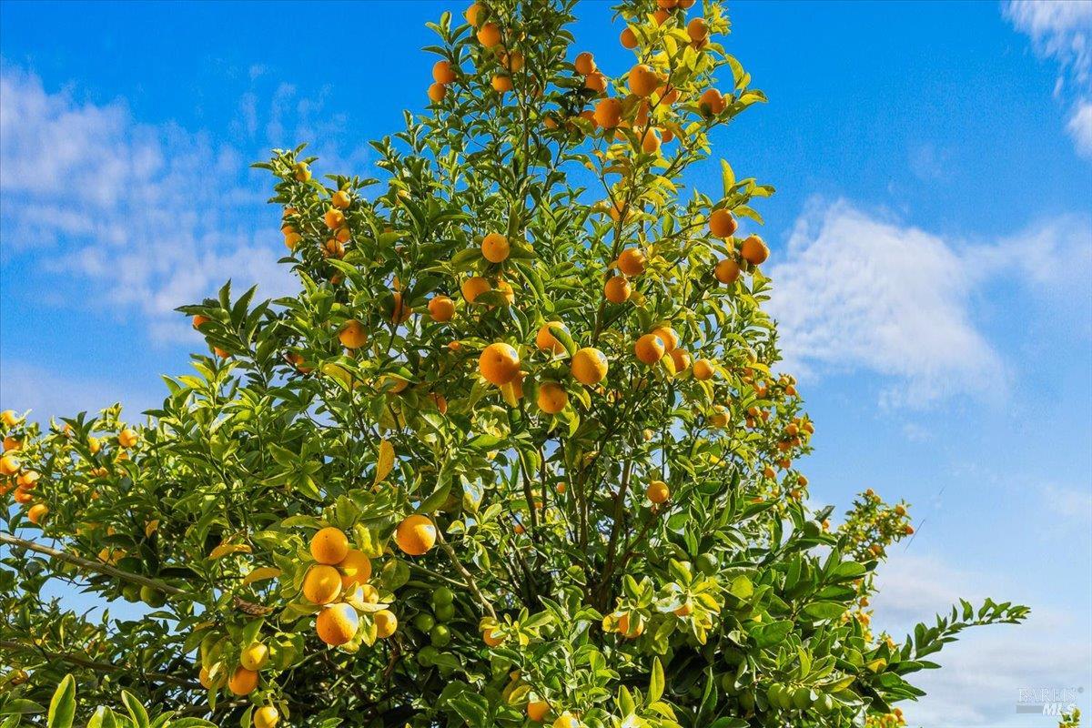 Detail Gallery Image 39 of 46 For 130 11th St, Santa Rosa,  CA 95401 - 4 Beds | 2 Baths