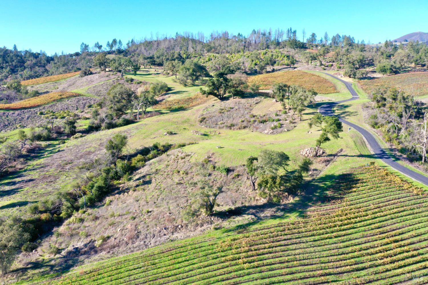 Detail Gallery Image 8 of 65 For 594 Artisan Cir, Geyserville,  CA 95441 - – Beds | – Baths