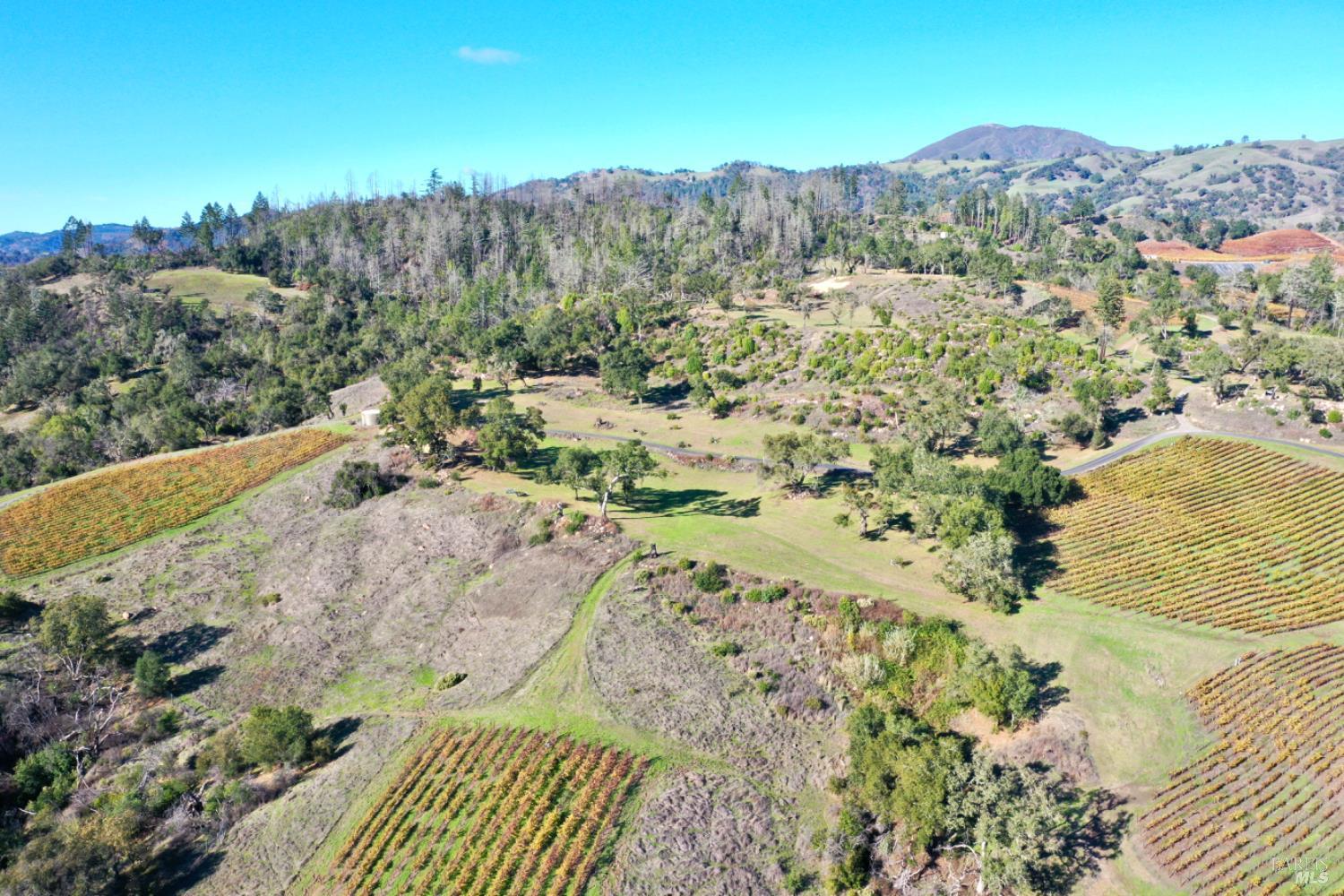 Detail Gallery Image 12 of 76 For 500 Artisan Cir, Geyserville,  CA 95441 - – Beds | – Baths