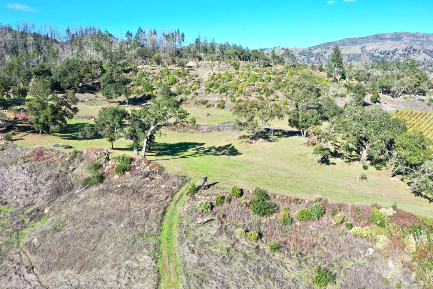 Detail Gallery Image 8 of 76 For 500 Artisan Cir, Geyserville,  CA 95441 - – Beds | – Baths