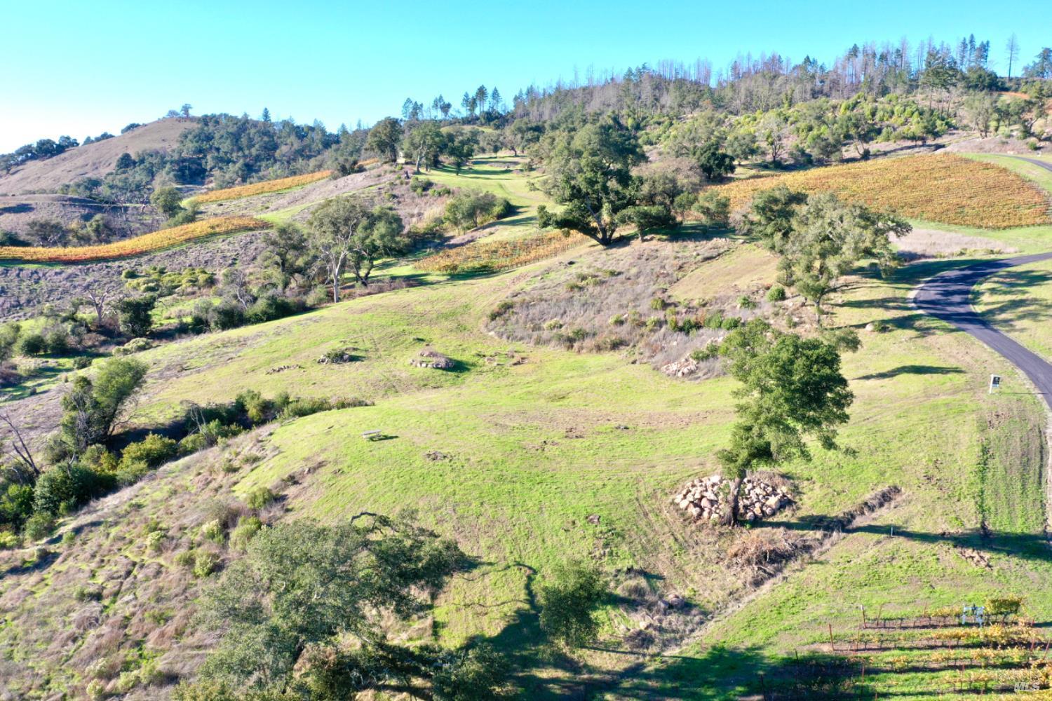 Detail Gallery Image 4 of 65 For 594 Artisan Cir, Geyserville,  CA 95441 - – Beds | – Baths