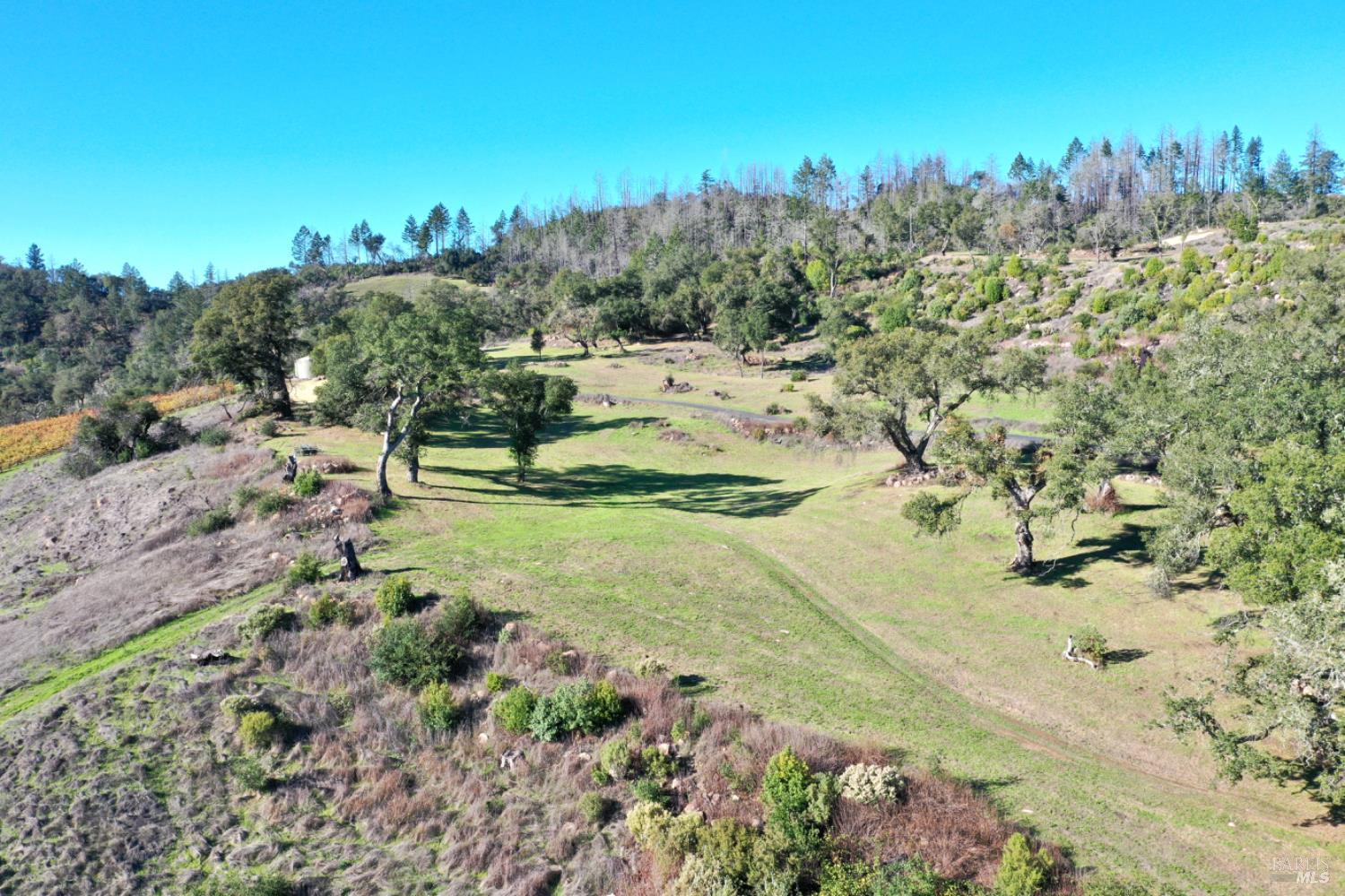 Detail Gallery Image 4 of 76 For 500 Artisan Cir, Geyserville,  CA 95441 - – Beds | – Baths