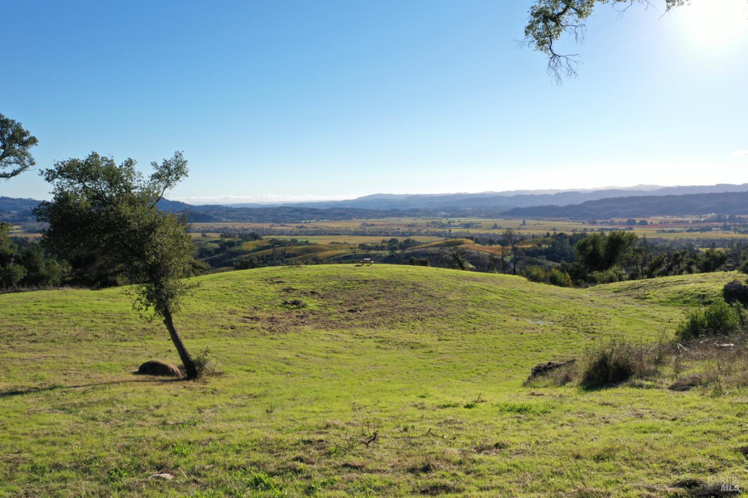 Detail Gallery Image 5 of 65 For 594 Artisan Cir, Geyserville,  CA 95441 - – Beds | – Baths