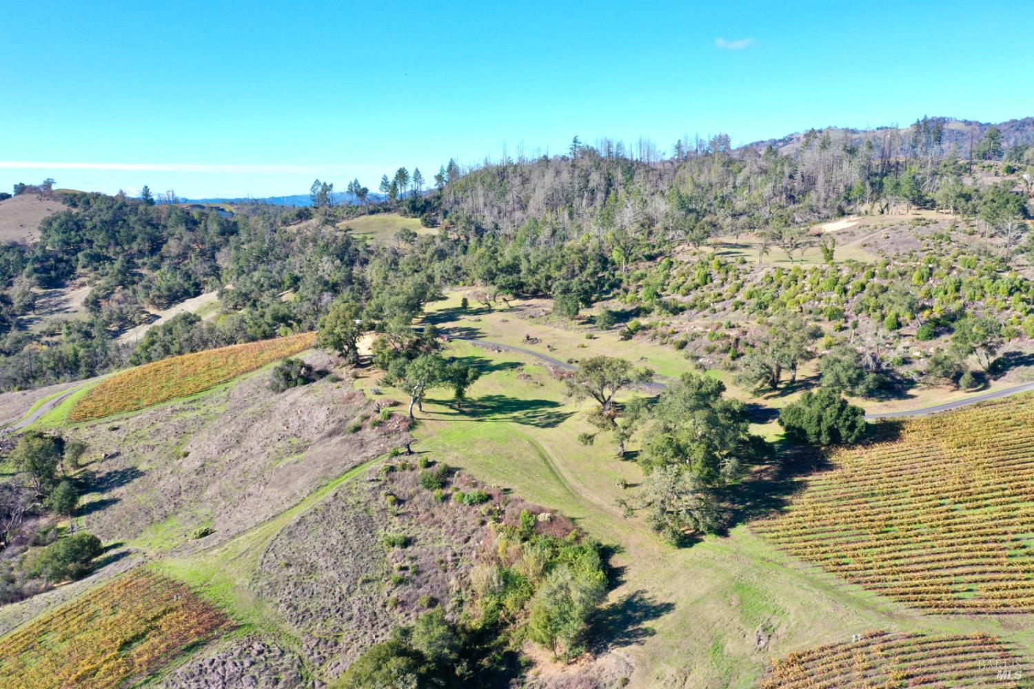 Detail Gallery Image 6 of 76 For 500 Artisan Cir, Geyserville,  CA 95441 - – Beds | – Baths