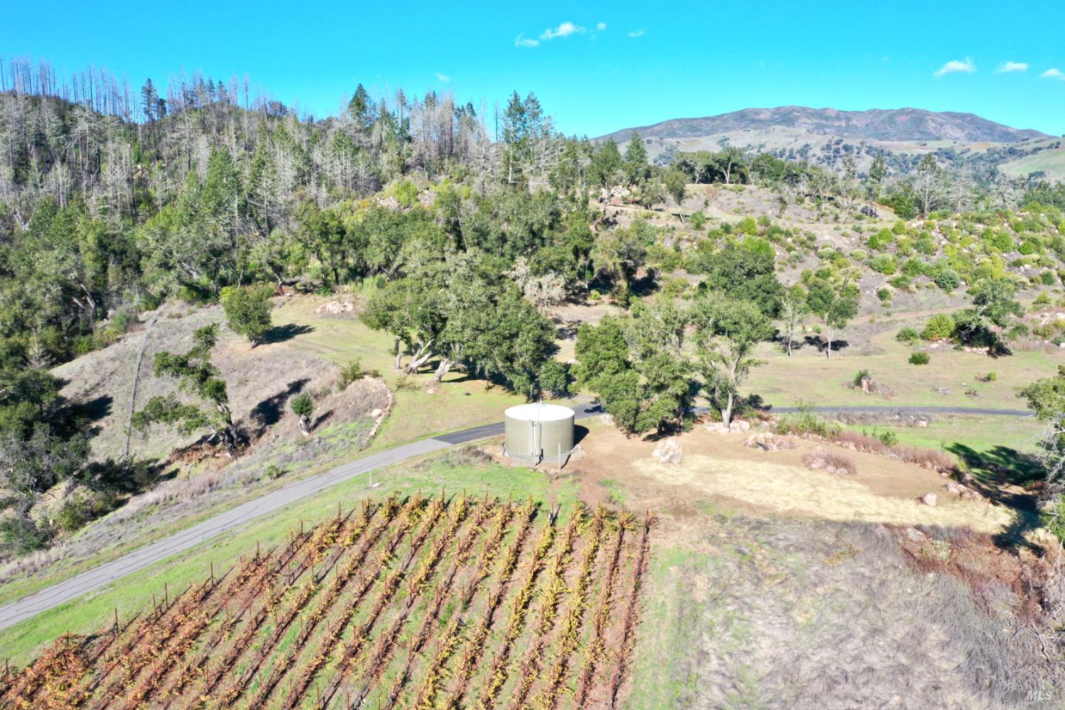 Detail Gallery Image 5 of 76 For 500 Artisan Cir, Geyserville,  CA 95441 - – Beds | – Baths