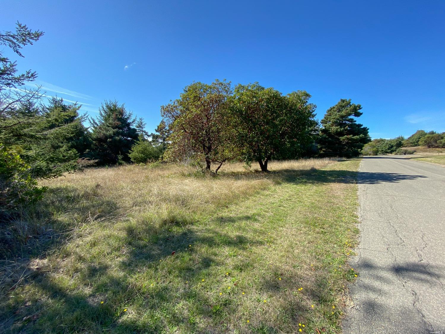 Detail Gallery Image 9 of 27 For 41179 Deer Trl, The Sea Ranch,  CA 95497 - – Beds | – Baths