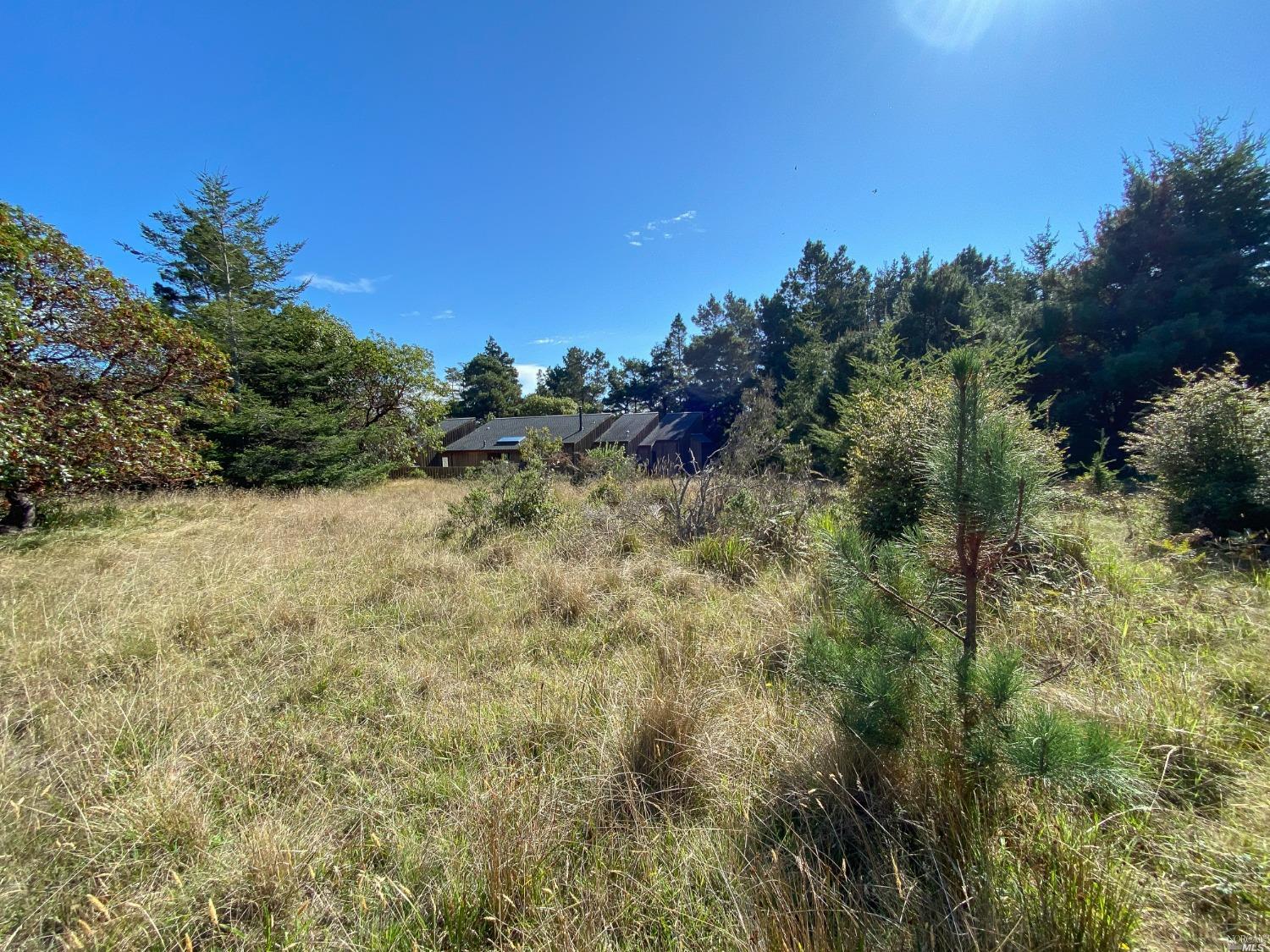 Detail Gallery Image 13 of 27 For 41179 Deer Trl, The Sea Ranch,  CA 95497 - – Beds | – Baths