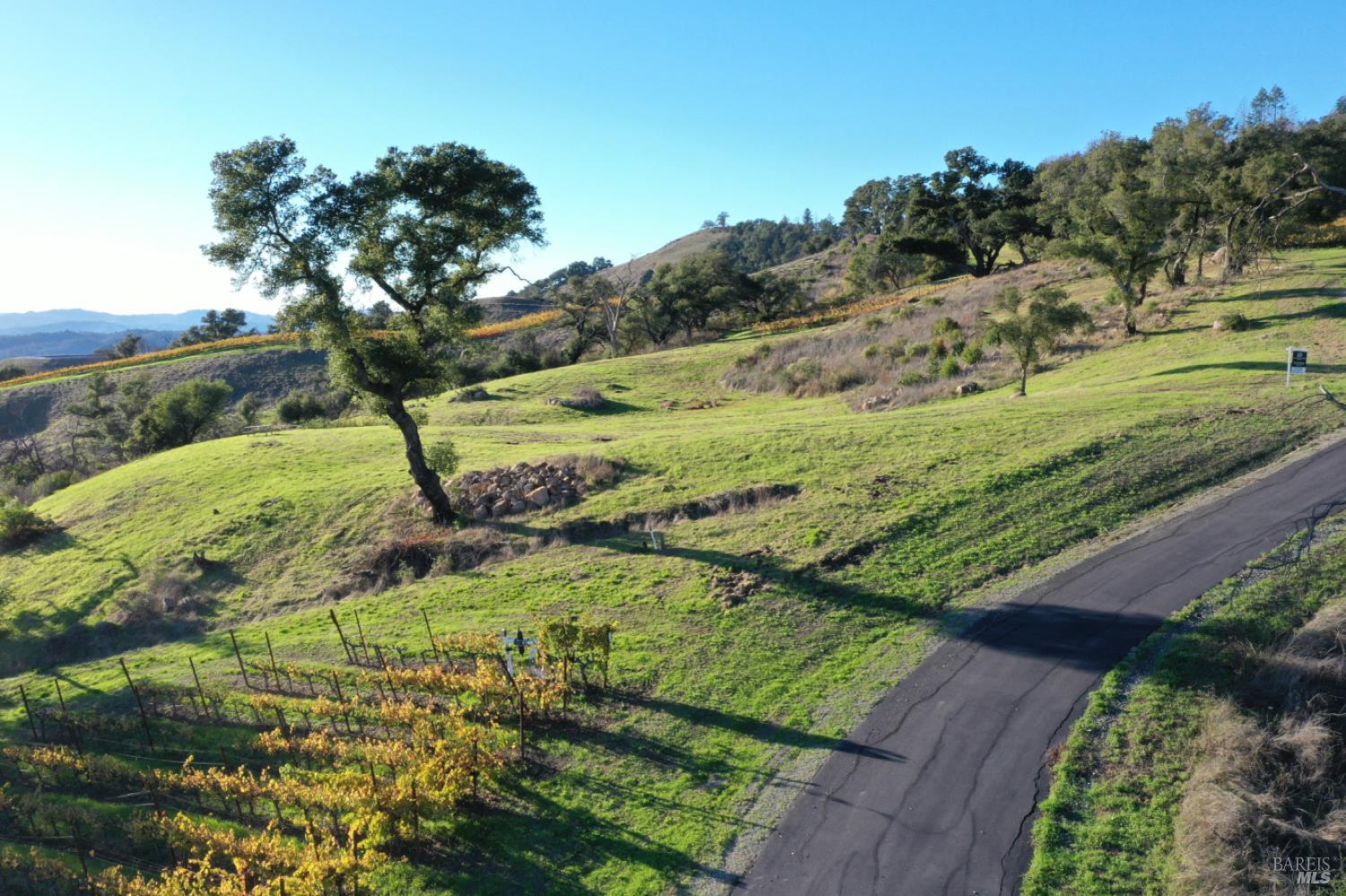 Detail Gallery Image 9 of 65 For 594 Artisan Cir, Geyserville,  CA 95441 - – Beds | – Baths