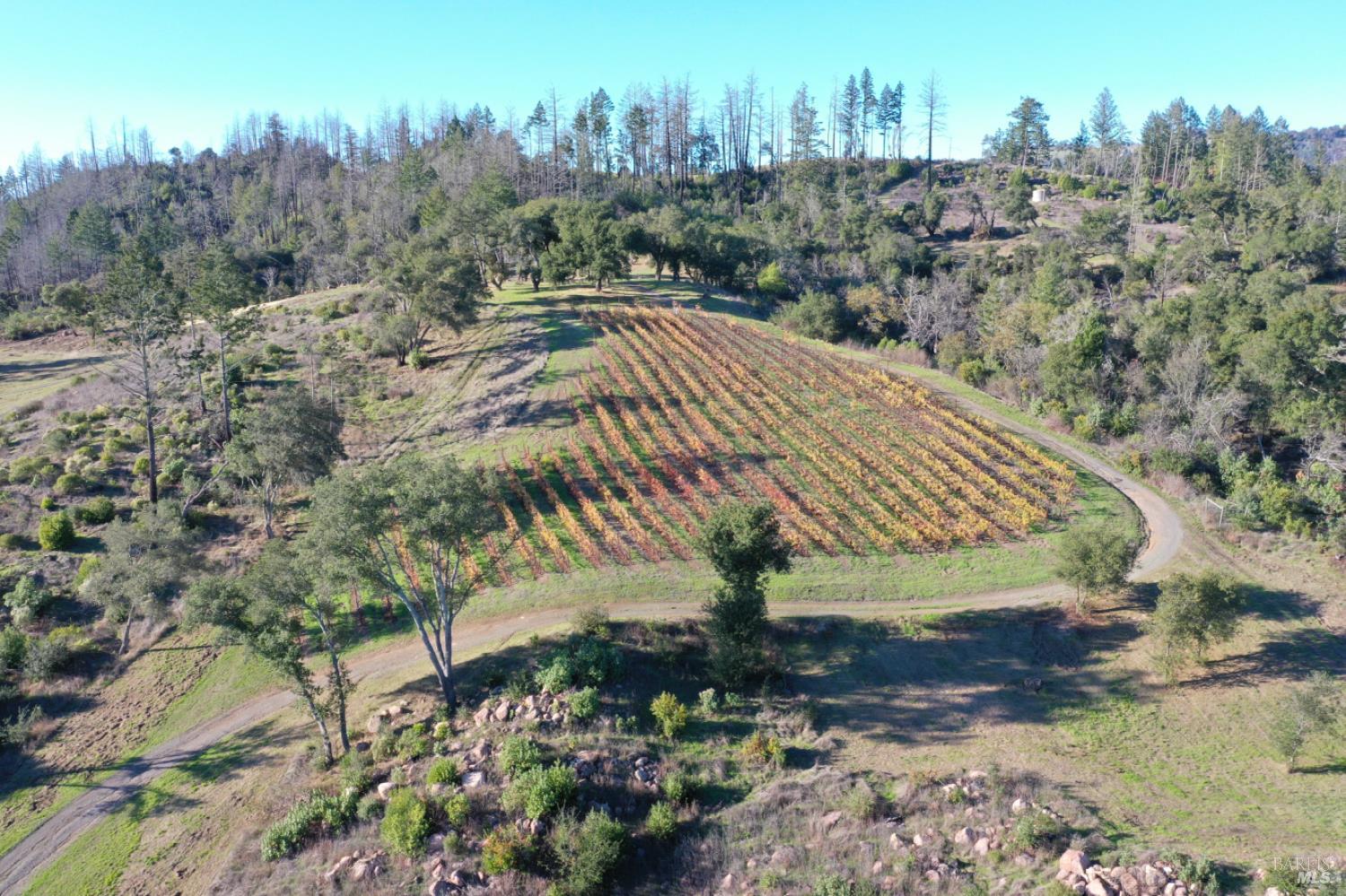 Detail Gallery Image 11 of 80 For 551 Artisan Cir, Geyserville,  CA 95441 - – Beds | – Baths