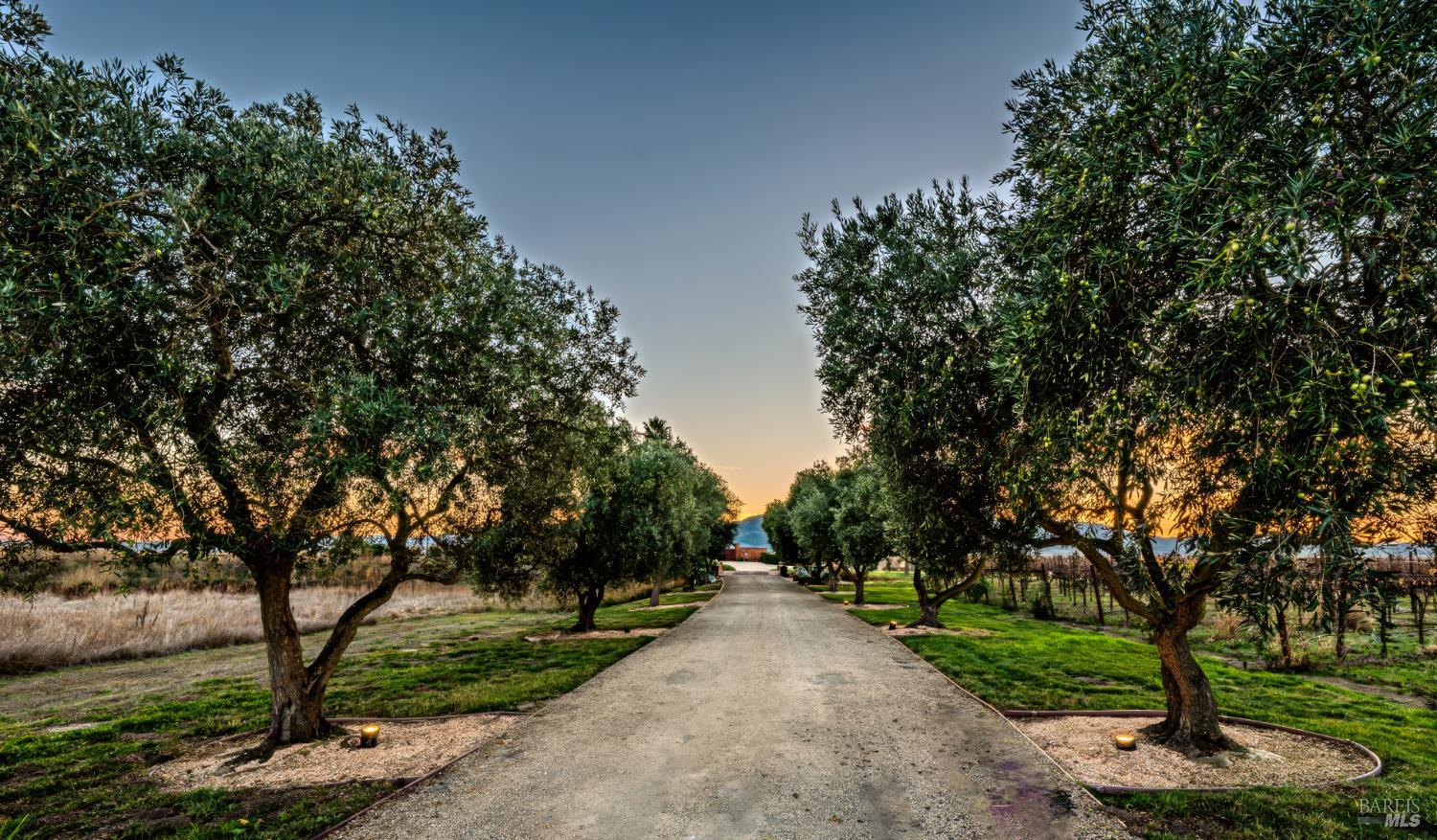 Detail Gallery Image 7 of 64 For 6614 Lakeville Hwy, Petaluma,  CA 94954 - 11 Beds | 15/1 Baths